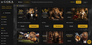 Sports Betting Online: What Beginners Should Know